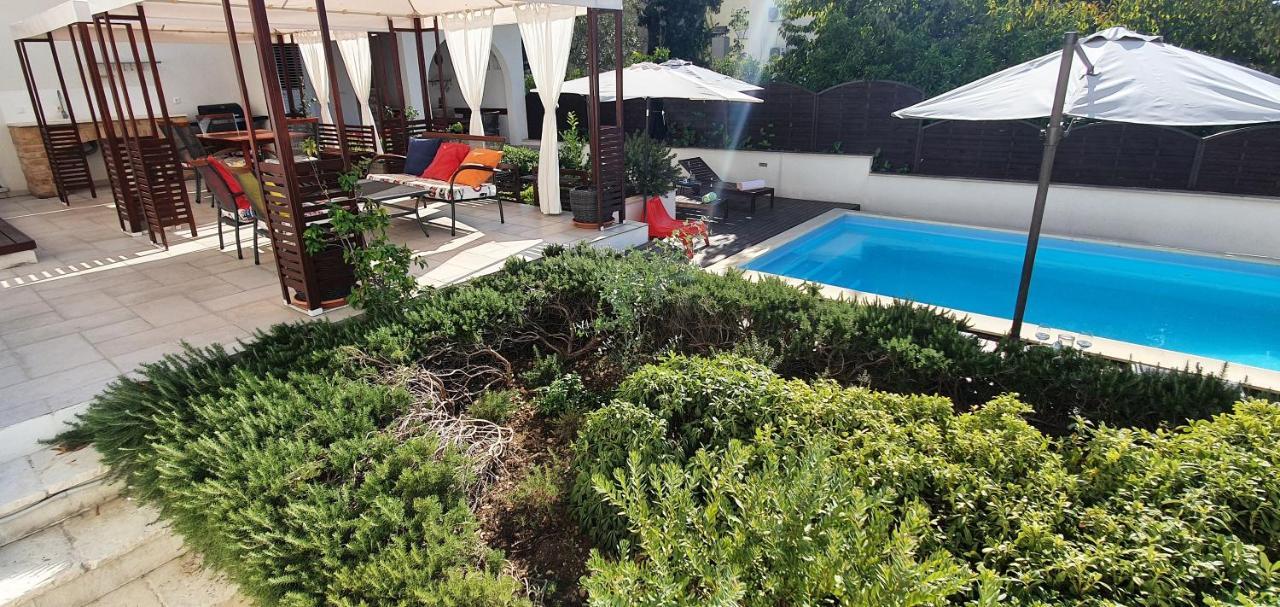 Olive * Gradac (Split-Dalmatia)