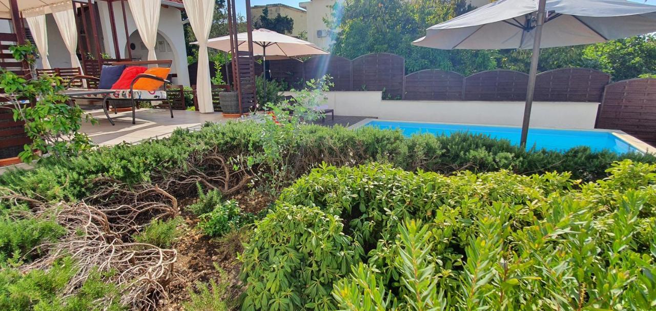 Holiday home Olive Gradac (Split-Dalmatia)