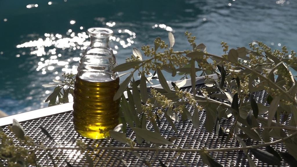 Olive Gradac (Split-Dalmatia)