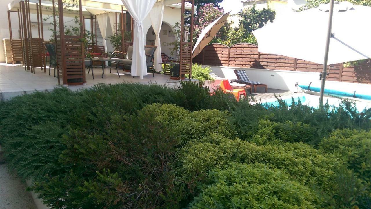 Olive Holiday home